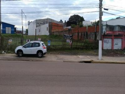 Terreno para Venda, em Gravataí, bairro Av. Dorival Cândido Luz de Oliveira